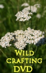 Wildcrafting DVD