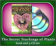 Cover-set-Secret_Teach150 Cover-set-Secret_Teach150