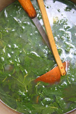 Nettlesoup150 Nettlesoup150