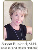 Susan Mead